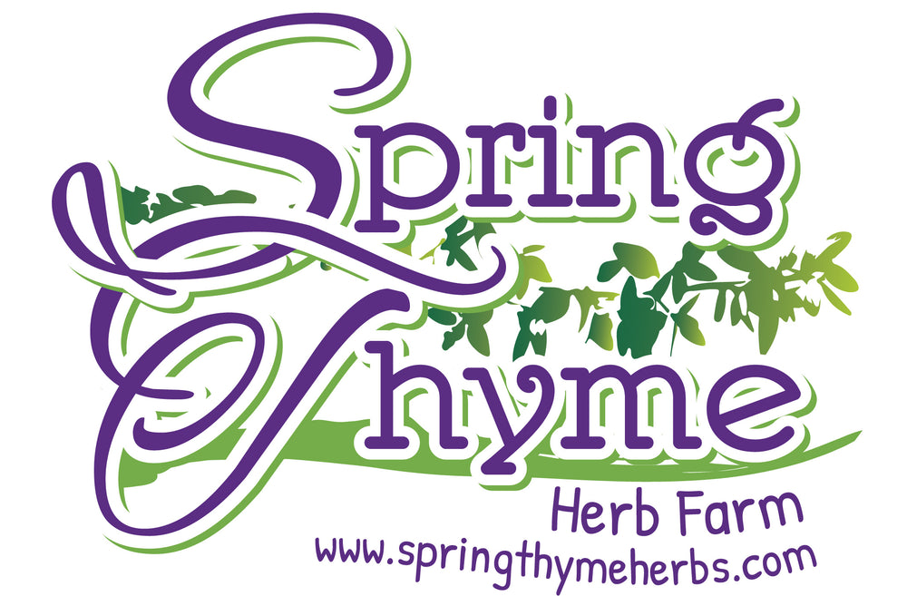 Spring Thyme Herb Farm